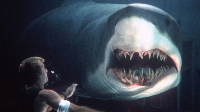 Hiu raksasa ancam ilmuwan. [X]